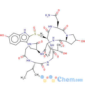 CAS No:13567-11-8 g-Amanitin, de-S-oxide (9CI)