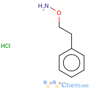 CAS No:13571-04-5 Hydroxylamine,O-(2-phenylethyl)-, hydrochloride (1:1)