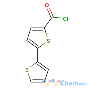 CAS No:135887-26-2 5-thiophen-2-ylthiophene-2-carbonyl chloride