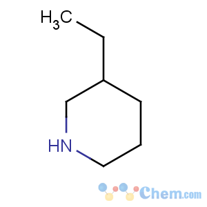 CAS No:13603-10-6 3-Ethylpiperidine