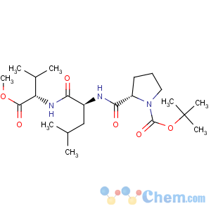 CAS No:13650-75-4 L-Valine,1-[(1,1-dimethylethoxy)carbonyl]-L-prolyl-L-leucyl-, methyl ester