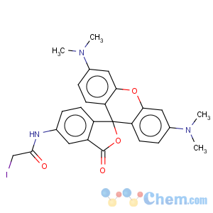 CAS No:136538-85-7 6-iodoacetamidotetramethylrhodamine