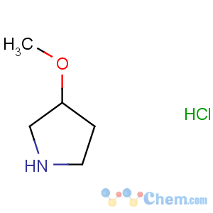 CAS No:136725-50-3 3-methoxypyrrolidine