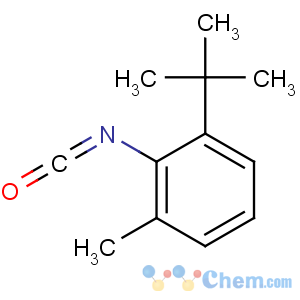 CAS No:13680-30-3 1-tert-butyl-2-isocyanato-3-methylbenzene