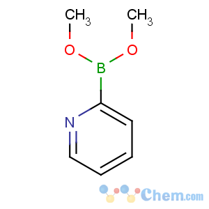 CAS No:136805-54-4 dimethoxy(pyridin-2-yl)borane