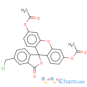 CAS No:136832-63-8 5-Chloromethylfluorescein