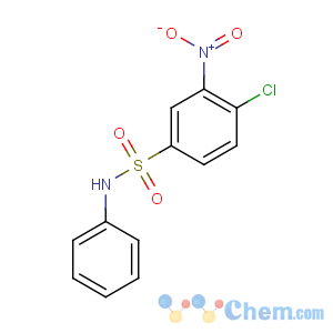 CAS No:137-49-5 4-chloro-3-nitro-N-phenylbenzenesulfonamide