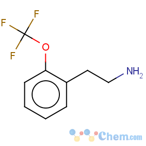 CAS No:137218-26-9 Benzeneethanamine,2-(trifluoromethoxy)-