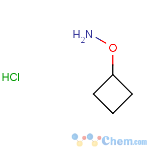 CAS No:137270-23-6 o-cyclobutyl-hydroxylamine hydrochloride