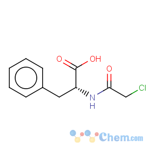 CAS No:137503-97-0 D-Phenylalanine,N-(chloroacetyl)- (9CI)
