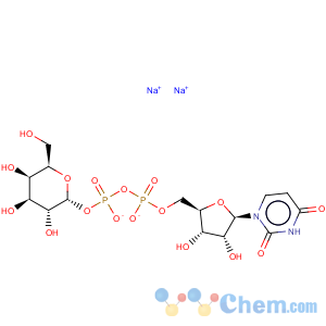 CAS No:137868-52-1 Uridine5'-(trihydrogen diphosphate), P'-a-D-galactopyranosylester, sodium salt (1:2)