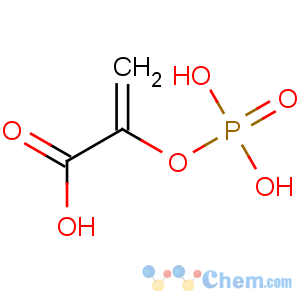 CAS No:138-08-9 2-phosphonooxyprop-2-enoic acid