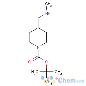 CAS No:138022-02-3 tert-butyl 4-(methylaminomethyl)piperidine-1-carboxylate