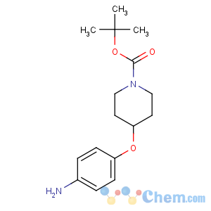 CAS No:138227-63-1 tert-butyl 4-(4-aminophenoxy)piperidine-1-carboxylate