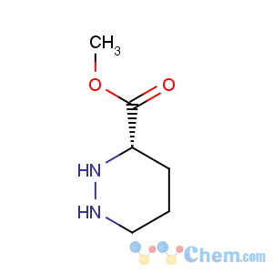 CAS No:138323-07-6 3-pyridazinecarboxylicacid,hexahydro-,methylester,(3s)-(9ci)