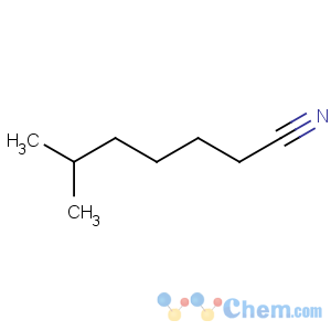 CAS No:138808-37-4 6-methylheptanenitrile