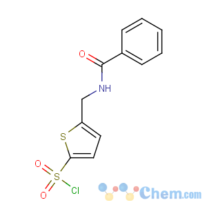 CAS No:138872-44-3 5-(benzamidomethyl)thiophene-2-sulfonyl chloride