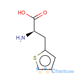 CAS No:139-86-6 b-(2-thienyl)-d-alanine