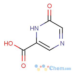 CAS No:13924-99-7 6-oxo-1H-pyrazine-2-carboxylic acid