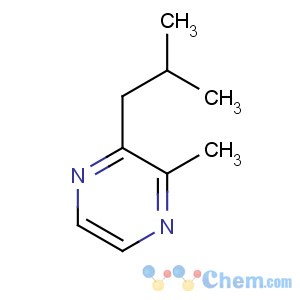 CAS No:13925-06-9 2-methyl-3-(2-methylpropyl)pyrazine