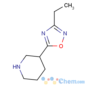 CAS No:139269-06-0 3-ethyl-5-piperidin-3-yl-1,2,4-oxadiazole