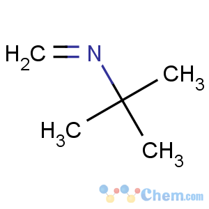 CAS No:13987-61-6 2-Propanamine,2-methyl-N-methylene-