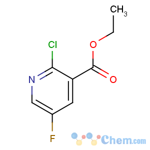 CAS No:139911-30-1 ethyl 2-chloro-5-fluoropyridine-3-carboxylate