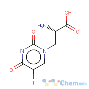 CAS No:140187-25-3 1(2H)-Pyrimidinepropanoicacid, a-amino-3,4-dihydro-5-iodo-2,4-dioxo-,(aS)-