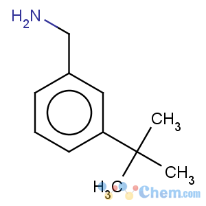 CAS No:140401-55-4 1-(3-tert-butylphenyl)methanamine
