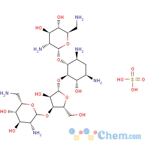 CAS No:1405-10-3 Neomycin sulfate