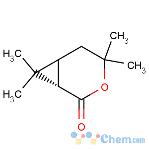 CAS No:14087-71-9 3-Oxabicyclo[4.1.0]heptan-2-one,4,4,7,7-tetramethyl-, (1S-cis)- (9CI)
