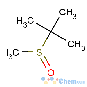CAS No:14094-11-2 2-methyl-2-methylsulfinylpropane