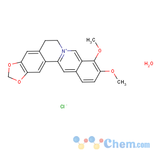 CAS No:141433-60-5 Berberine chloride hydrate