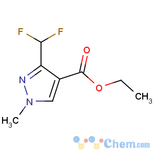 CAS No:141573-95-7 ethyl 3-(difluoromethyl)-1-methylpyrazole-4-carboxylate