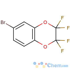 CAS No:141872-90-4 6-bromo-2,2,3,3-tetrafluoro-1,4-benzodioxine