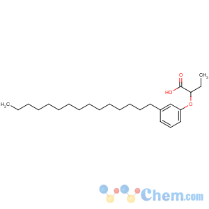 CAS No:14230-52-5 2-(3-pentadecylphenoxy)butanoic acid