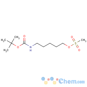 CAS No:142342-55-0 Carbamic acid,[5-[(methylsulfonyl)oxy]pentyl]-, 1,1-dimethylethyl ester (9CI)