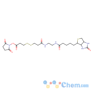 CAS No:142439-92-7 (2,5-dioxopyrrolidin-1-yl)<br />3-[[3-[2-[5-[(3aS,4S,6aR)-2-oxo-1,3,3a,4,6,6a-hexahydrothieno[3,<br />4-d]imidazol-4-yl]pentanoylamino]ethylamino]-3-oxopropyl]disulfanyl]<br />propanoate