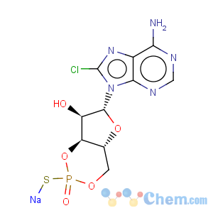 CAS No:142754-28-7 Adenosine, 8-chloro-,cyclic 3',5'-[hydrogen (S)-phosphorothioate] (9CI)