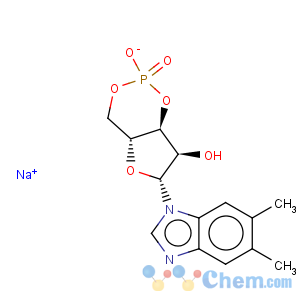 CAS No:142754-31-2 1H-Benzimidazole,5,6-dimethyl-1-(3,5-O-phosphinico-b-D-ribofuranosyl)- (9CI)