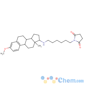 CAS No:142878-12-4 1-[6-[(3-methoxy-13-methyl-6,7,8,9,11,12,14,15,16,<br />17-decahydrocyclopenta[a]phenanthren-17-yl)amino]hexyl]pyrrolidine-2,<br />5-dione