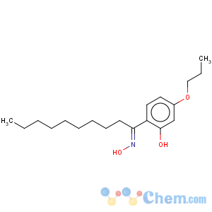 CAS No:143286-63-9 1-Decanone, 1-(2-hydroxy-4-propoxyphenyl)-, oxime