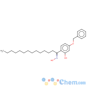 CAS No:143286-83-3 1-Tetradecanone, 1-[2-hydroxy-4-(phenylmethoxy)phenyl]-, oxime
