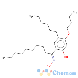 CAS No:143287-10-9 1-Decanone, 1-(4-butoxy-5-hexyl-2-hydroxyphenyl)-, oxime