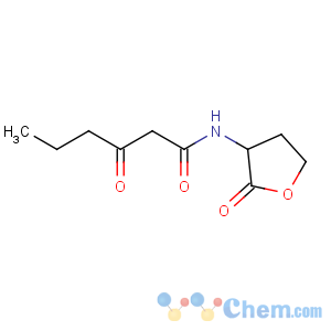 CAS No:143537-62-6 3-oxo-N-(2-oxooxolan-3-yl)hexanamide