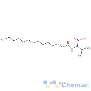 CAS No:14379-30-7 3-methyl-2-(tetradecanoylamino)butanoic acid