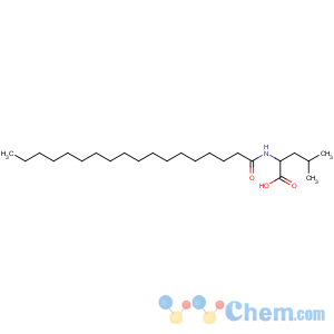 CAS No:14379-43-2 (2S)-4-methyl-2-(octadecanoylamino)pentanoic acid