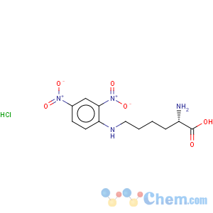 CAS No:14401-10-6 L-Lysine,N6-(2,4-dinitrophenyl)-, hydrochloride (1:1)