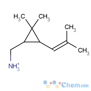 CAS No:144178-21-2 [(1S,3R)-2,2-dimethyl-3-(2-methylprop-1-enyl)cyclopropyl]methylazanium