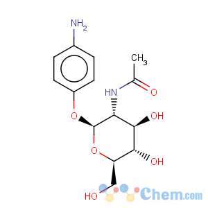 CAS No:14419-59-1 b-D-Glucopyranoside, 4-aminophenyl2-(acetylamino)-2-deoxy-